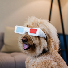 Load image into Gallery viewer, Hollywoof D3-Dog Glasses Dog Toy
