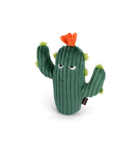 Load image into Gallery viewer, Blooming Buddies Prickly Pup Cactus
