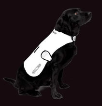 Load image into Gallery viewer, Proviz REFLECT360 Waterproof Fleece-Lined Dog Coat
