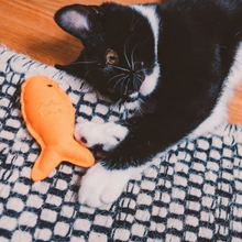 Load image into Gallery viewer, Catnip Toy
