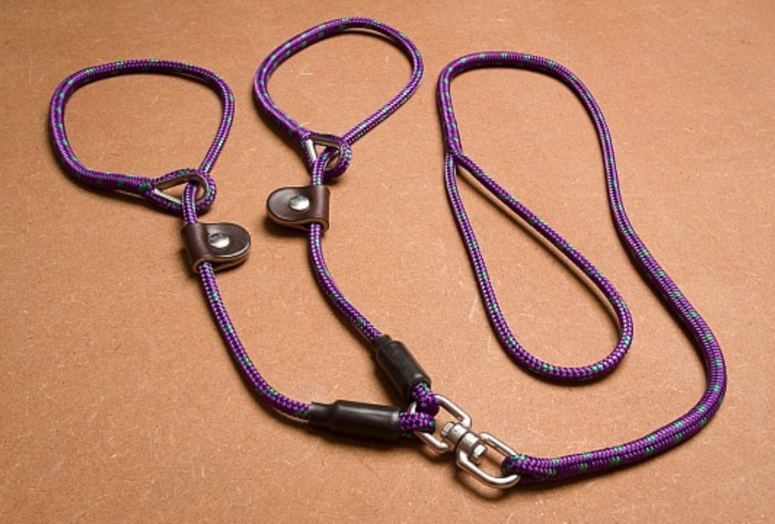 Swivel sales dog leash