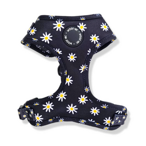 Black Daisy Adjustable Dog Harness