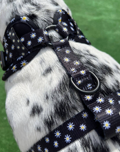 Load image into Gallery viewer, Black Daisy Adjustable Dog Harness
