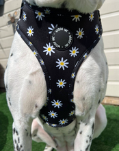 Load image into Gallery viewer, Black Daisy Adjustable Dog Harness
