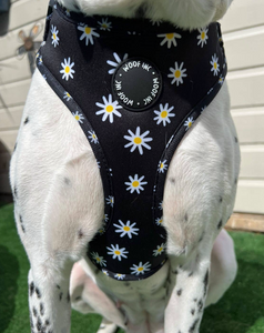 Black Daisy Adjustable Dog Harness