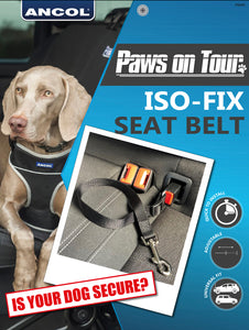 ISO-FIX Seatbelt