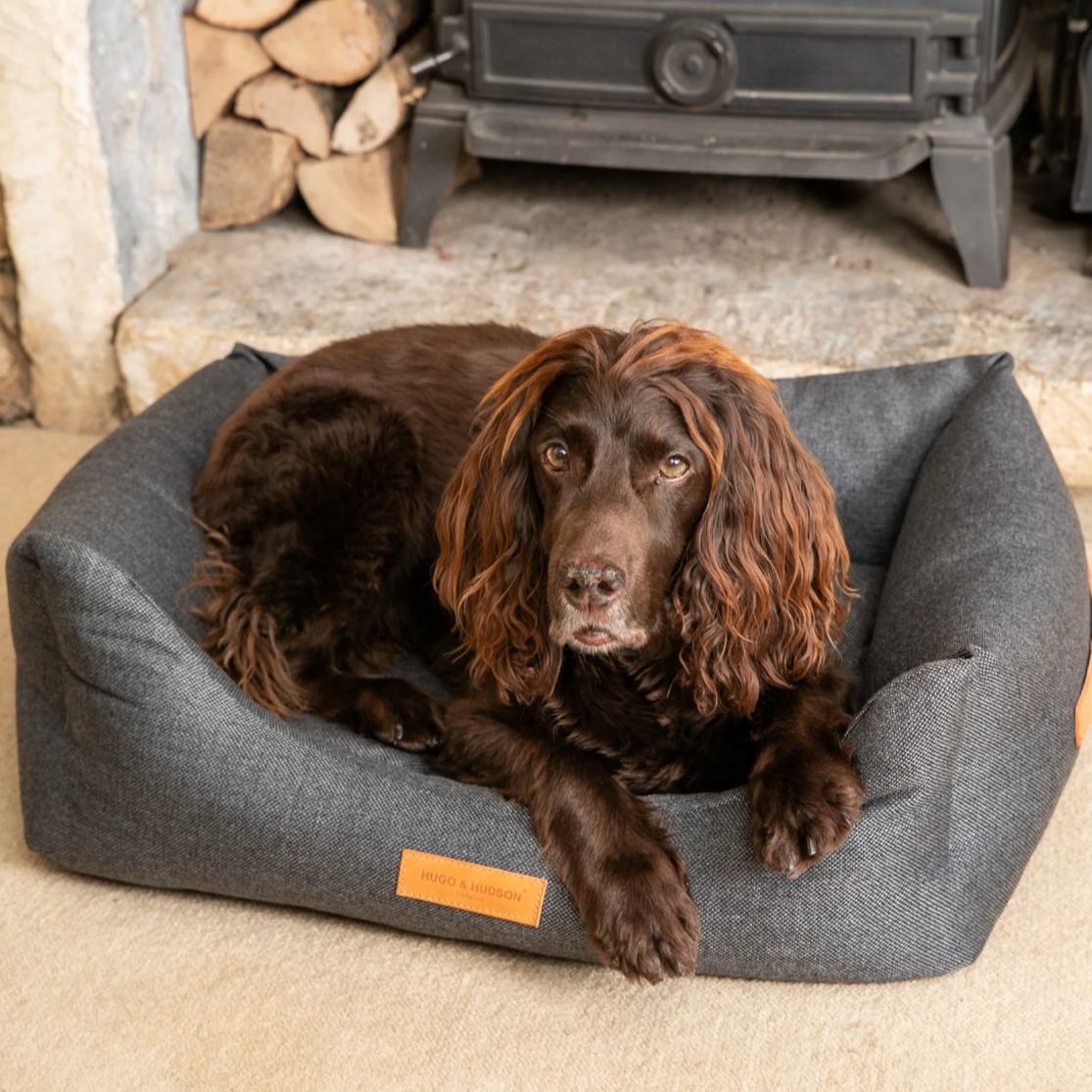 Loaol shop dog bed