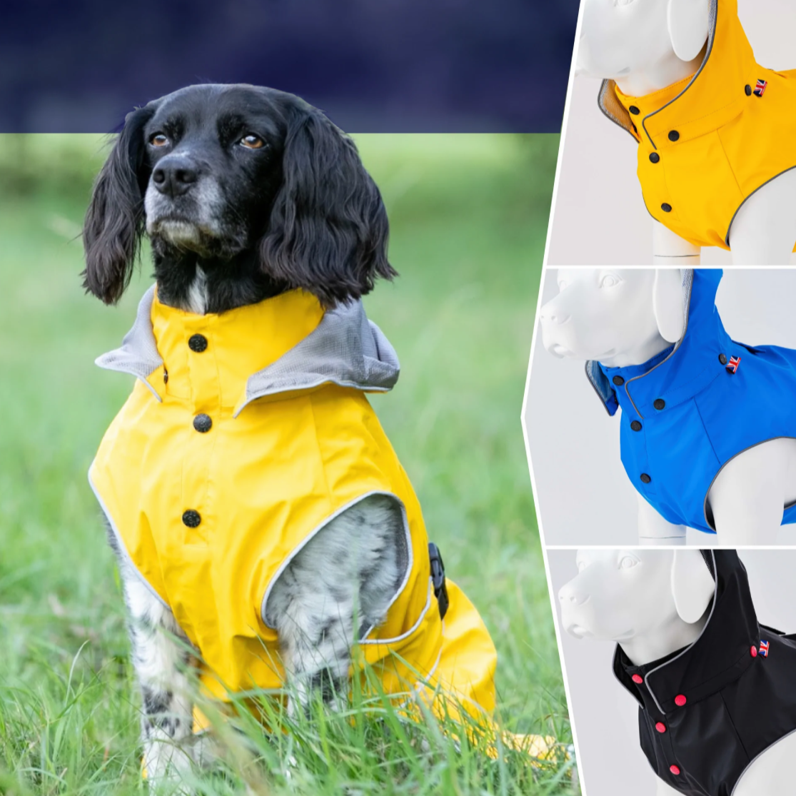 Best on sale dog raincoat