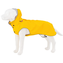 Load image into Gallery viewer, All-weather Dog Raincoat
