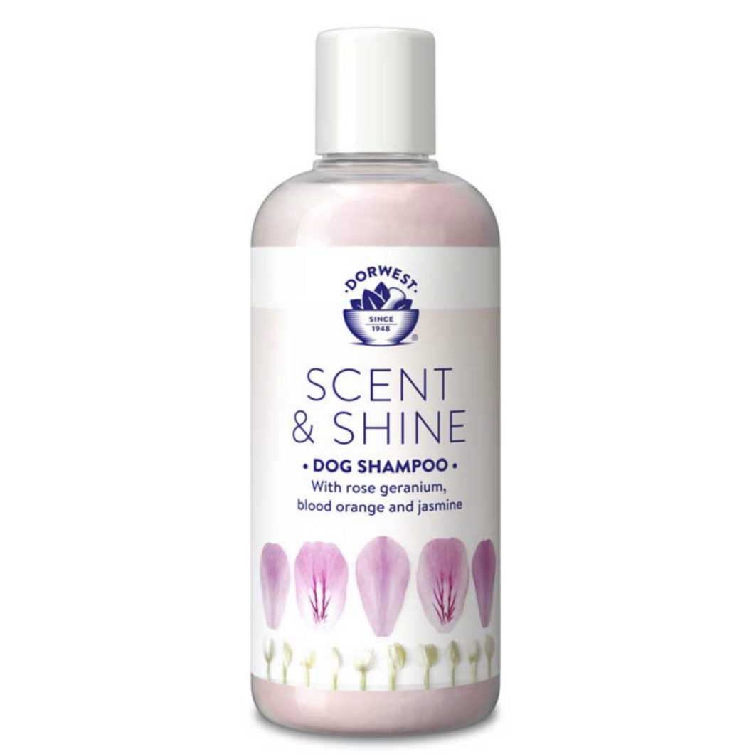 Scent & Shine Shampoo 250ml