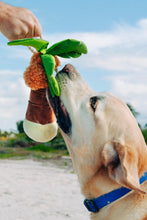 Load image into Gallery viewer, Tropical Paradise Puppy Palm
