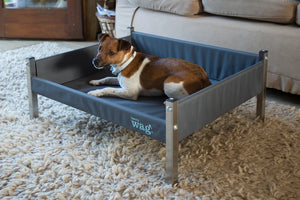 Elevated Dog Bed