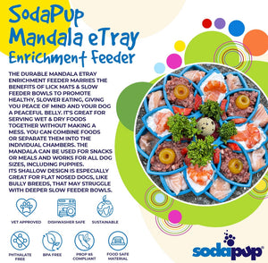 SodaPup Mandala Enrichment Tray