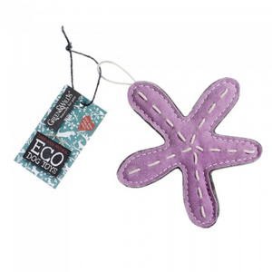 Stanley the Starfish (Eco Toy)