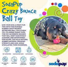 Load image into Gallery viewer, Sodapup Crazy Bounce Super-Durable Chew Toy
