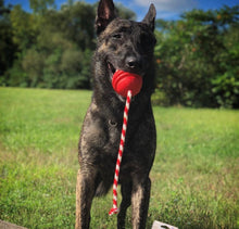 Load image into Gallery viewer, Sodapup Stars and Stripes Ultra-Durable Rubber Chew and Reward Ball
