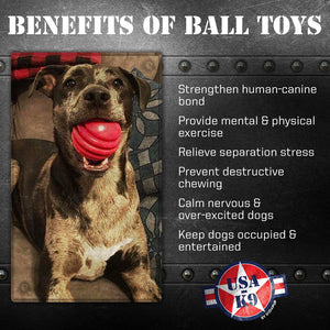 Sodapup Stars and Stripes Ultra-Durable Rubber Chew and Reward Ball