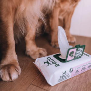 Coconut Scented Bamboo Dog Wipes