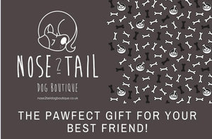 Nose 2 Tail Dog Boutique Gift E-Card