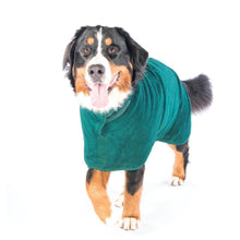 Load image into Gallery viewer, Classic Dog Drying Coat (fabric trim)

