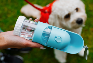 HydrateM8 Portable Water Bottle